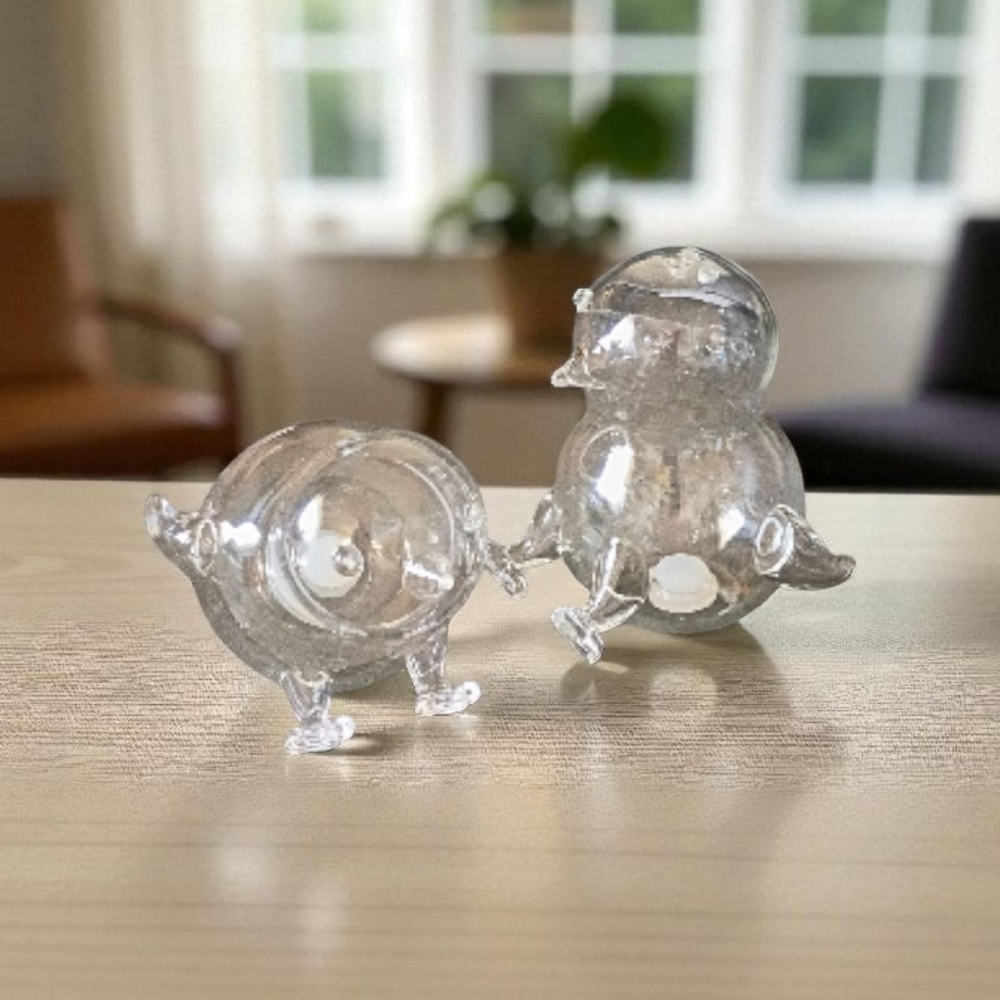 New! Glass Salt & Pepper Shakers Birds Clear World Market Farmhouse